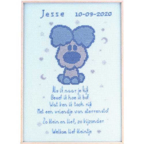 Pako Woezel Geboorte Borduurpakket (Telpatroon Aïda, 24x34 cm)